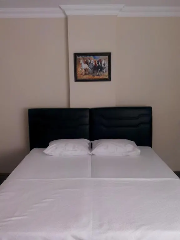 Ayasofya Apartment Trabzon Turquía